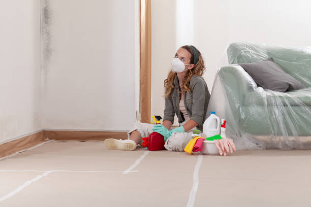 Reliable Basement Mold Removal contractor in Cary, IL by Cheap Mold Removal
